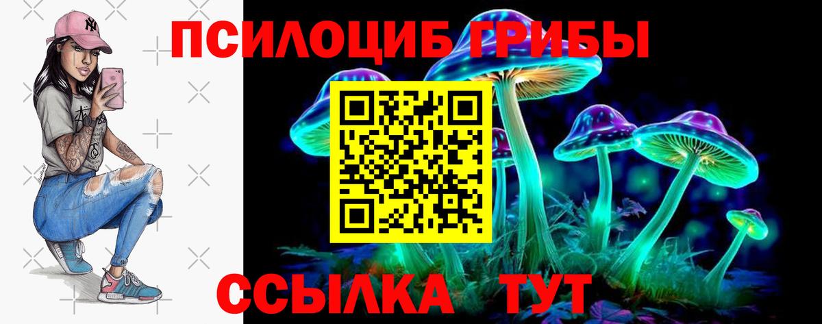 что такое наркотик  Псилоцибиновые грибы ЛСД  Вход с VPN  Бор 
