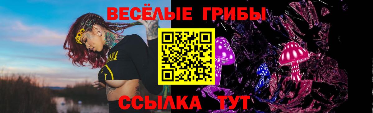 Галлюциногенные грибы Psilocybe Бор